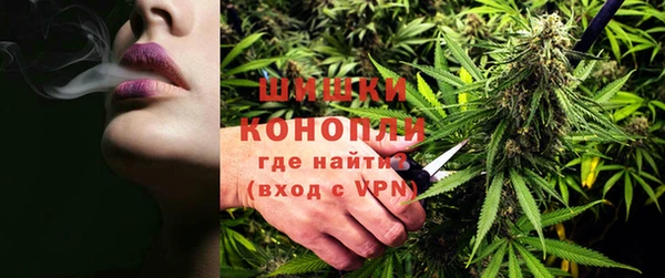 каннабис Новозыбков