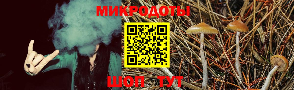 Псилоцибиновые грибы Magic Shrooms Уссурийск