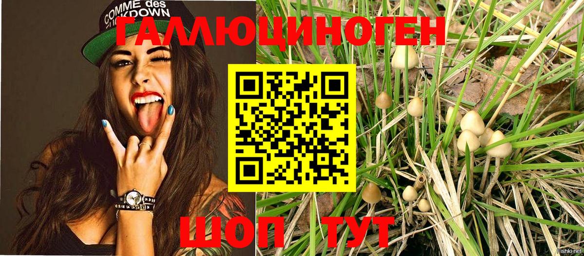 Галлюциногенные грибы Magic Shrooms  Вход с VPN  Уссурийск 
